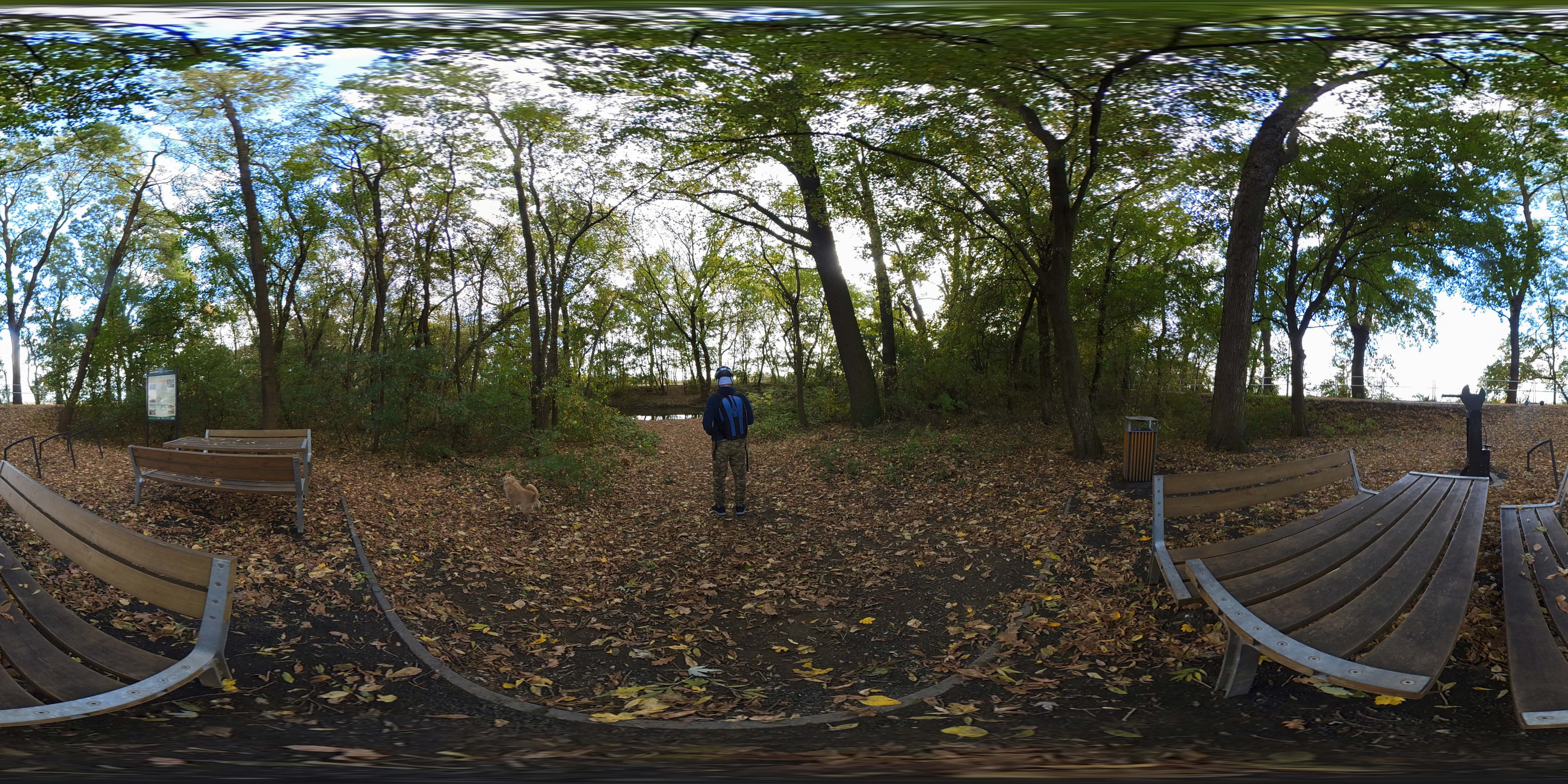 360 Panorama